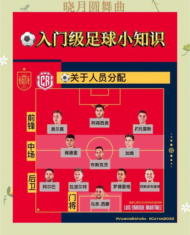 世界杯投注防守型球队更值得关注吗实用指南